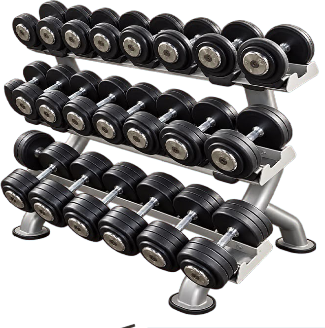 Kit dumbbell montado anilhado com suporte